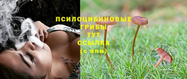 шишки Навашино