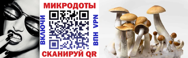 купить   Нахабино  Галлюциногенные грибы MAGIC MUSHROOMS 